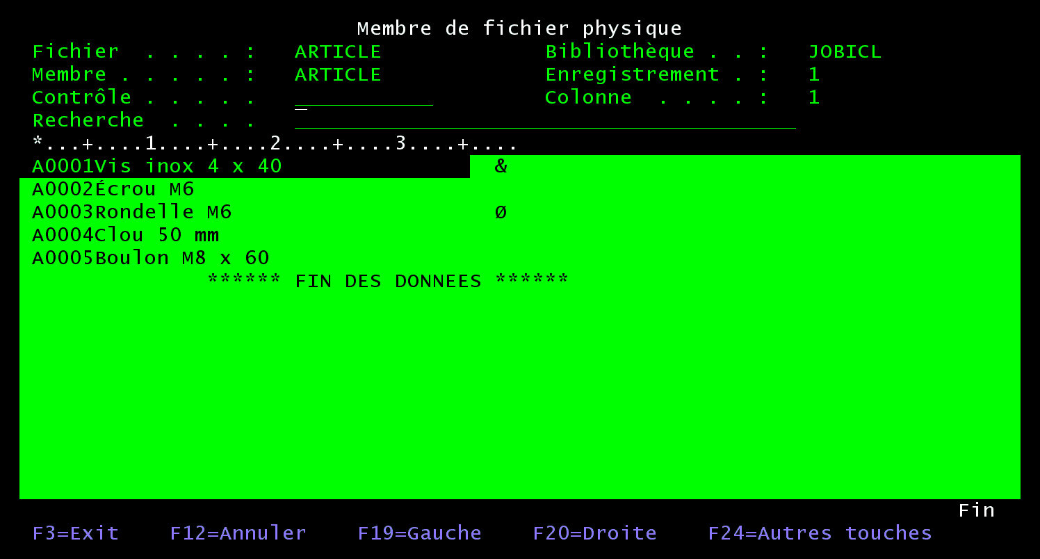 Écran Membre de fichier physique : DSPPFM du fichier ARTICLE de JOBICL, cinq articles