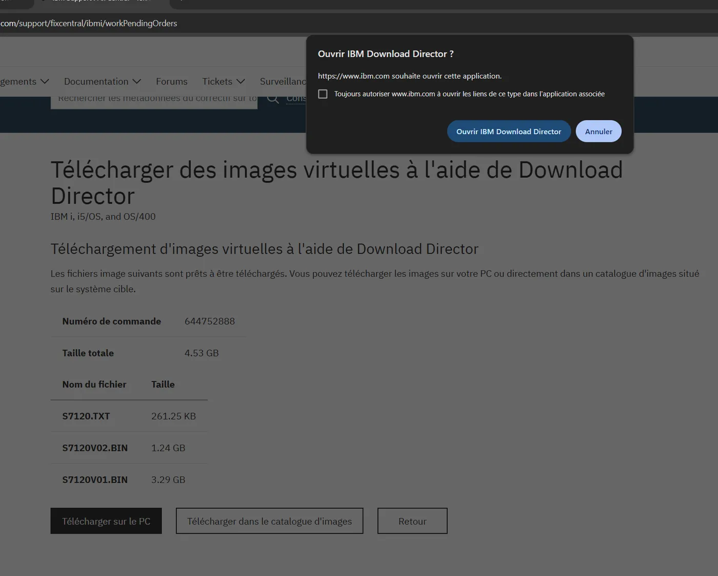 Le navigateur demande d'ouvrir IBM Download Director