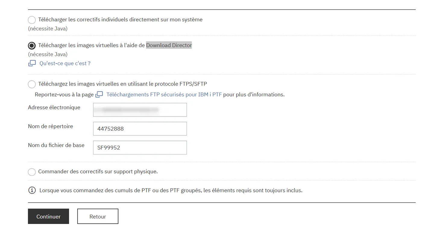 Options de livraison : Télécharger les images virtuelles à l'aide de Download Director sélectionné